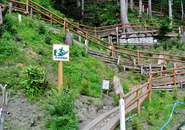 hinan road DSC_0644